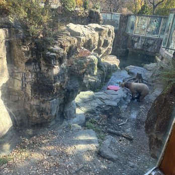 Central Park Zoo - Zoos Near Me - New York, New York