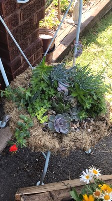 St. Joseph Farm by null