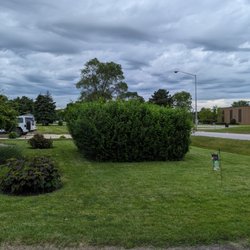 J & S Tree Service