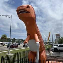 Rex, the Beach Blvd Dinosaur