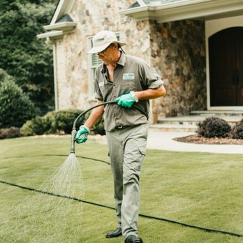 King Green - Tree Services Near Me - Peachtree City, Georgia King Green - Tree Services Near Me - Peachtree City, Georgia