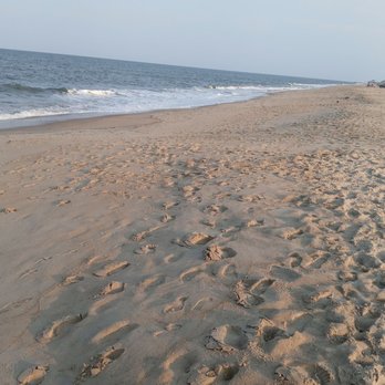 Cape Henlopen State Park - Beach - Parks Near Me - Lewes, Delaware
