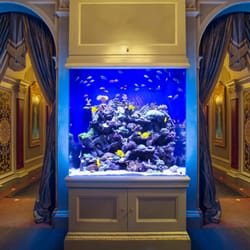 Aquarium Architecture
