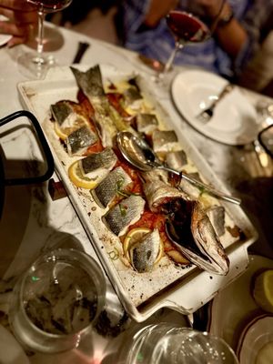 Macarena Restaurant in Palo Alto by null