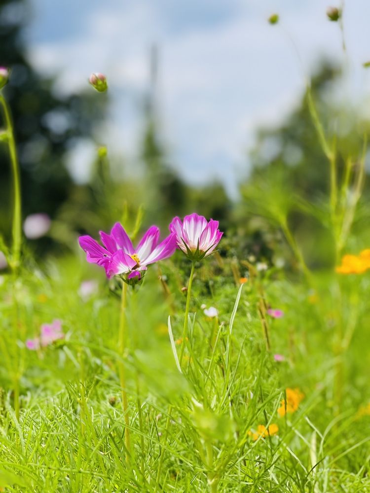 BRANSTOOL ORCHARDS Updated August 2024 29 Photos & 14 Reviews