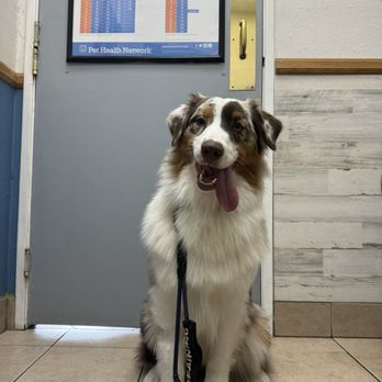 Pacific Pet Hospital - Veterinarians Near Me - Chula Vista, California Pacific Pet Hospital - Veterinarians Near Me - Chula Vista, California
