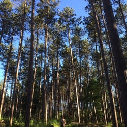 Mauthe Lake Recreation Area