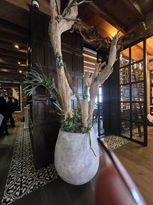 Balcón del Zócalo by null