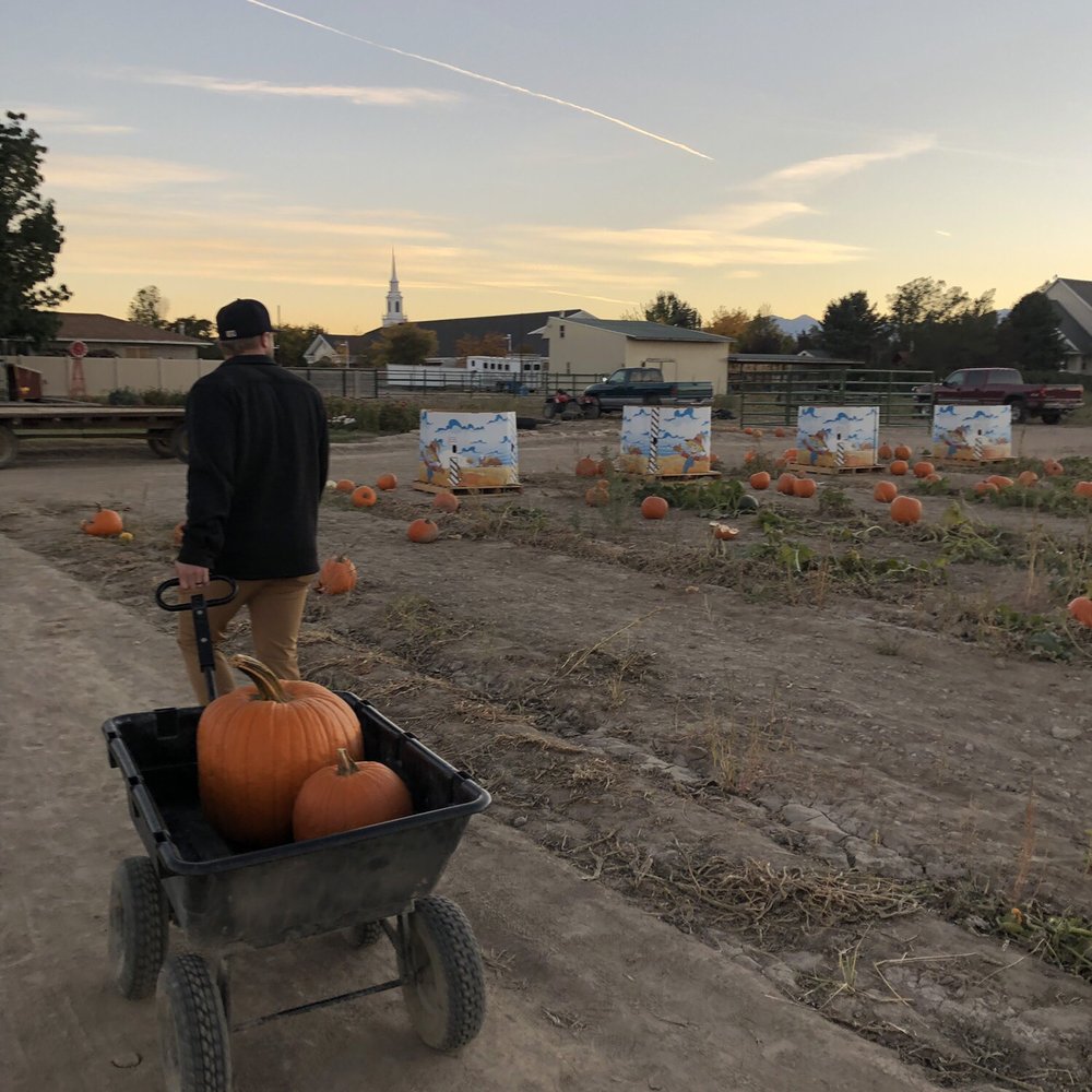 Mabey’s Pumpkin Patch - Found out pumpkins and going to check out - Pumpkin Patches Near Me - South Jordan, Utah Mabey’s Pumpkin Patch - Found out pumpkins and going to check out - Pumpkin Patches Near Me - South Jordan, Utah