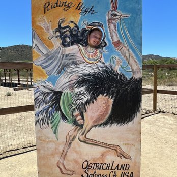 Ostrichland USA - Cute photo op - Attraction Farms Near Me - Solvang, California Ostrichland USA - Cute photo op - Attraction Farms Near Me - Solvang, California