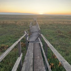 Drawbridge Ghost Town - Old deck