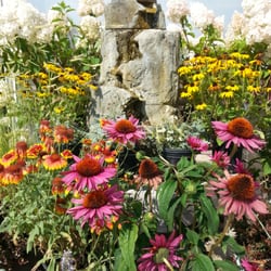 Greenwood Nursery