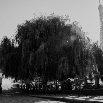 PhilArty Photography - Event Photography Near Me