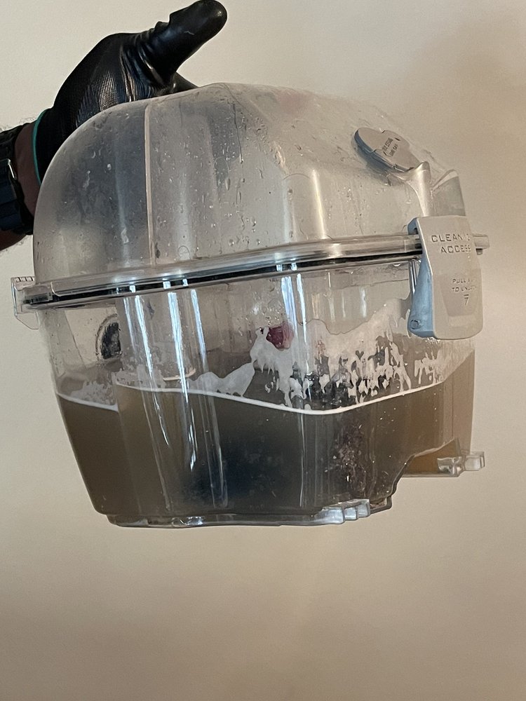 STEAM LOCAL PROFESSIONAL CARPET CLEANER 1001 Texas St, Houston, Texas