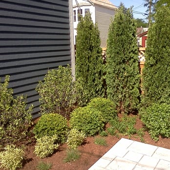 Urban Garden Design - Back Yard Planting. - Landscaping Near Me - Chicago, Illinois Urban Garden Design - Back Yard Planting. - Landscaping Near Me - Chicago, Illinois