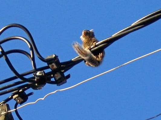 Pousada TooCool Na Bahia by null