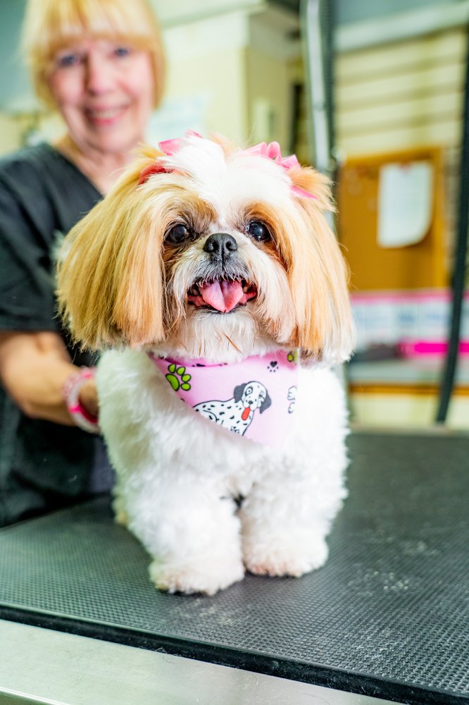 KENNELWOOD PET RESORT Updated July 2024 23 Photos & 36 Reviews