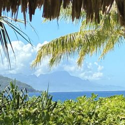 Tahiti.com - View at Breakfast
