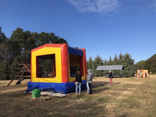 Pine lake christmas tree farm