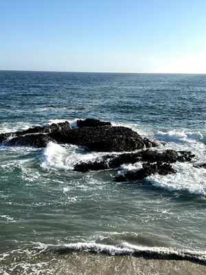 Woods Cove by null