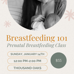 Good Baby Lactation - Prenatal breastfeeding class 1/14 in Thousand Oaks!