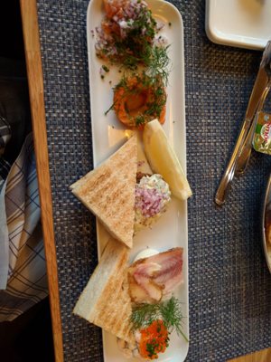 Lisa Elmqvist by null