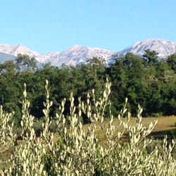 Tenuta Villa Rosato - Surrounded by olive groves and scenic views.