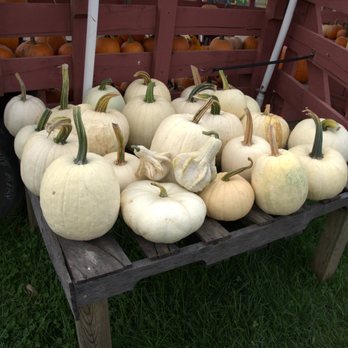 Johnson's Locust Hall Farm - Attraction Farms Near Me - Jobstown, New Jersey