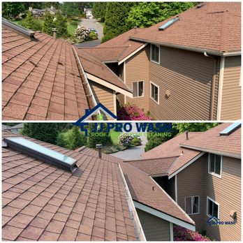 JJ Pro Wash - Roof soft wash - Pressure Washers Near Me