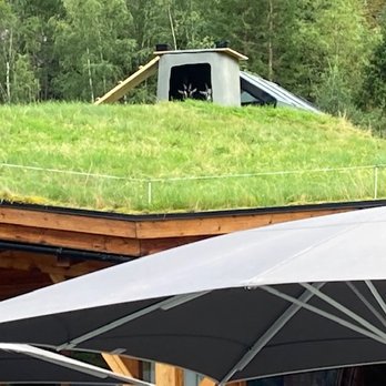 Hardangervidda Natursenter - Roof Top Goats - Active Life Near Me