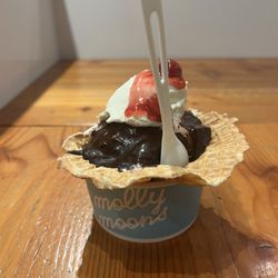 Molly Moon's Homemade Ice Cream - Chocolate Joy brownie sundae with a cherry on top