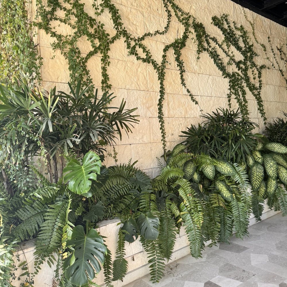 Atelier Playa Mujeres - Resorts Near Me - Cancún, ROO