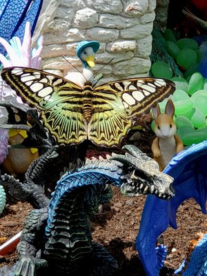 Wings of Mackinac by null