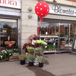 Blomster-Boo - Mer exteriör.