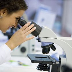 Alverno Laboratories