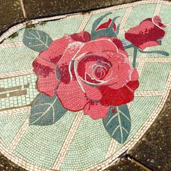 Harold Eastman Rose Garden