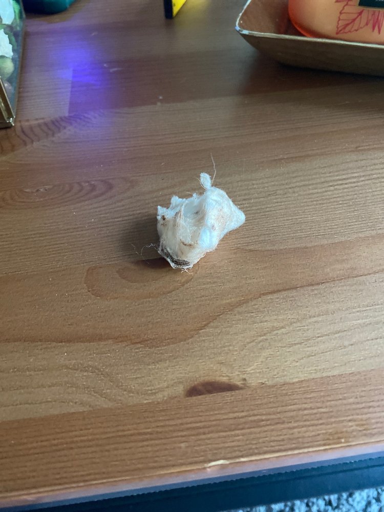 YOUR PET’S PARADISE Updated June 2024 48 Photos & 15 Reviews 791