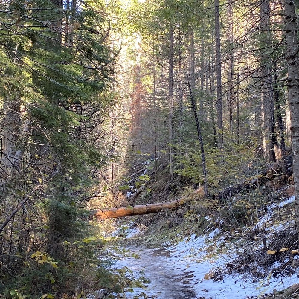 Lewis Creek Trail - Hiking Near Me Lewis Creek Trail - Hiking Near Me