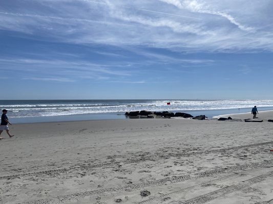 Stone Harbor by null