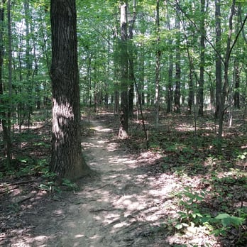 Thorn Mountain Bike Trail - Priceless - Mountain Biking Near Me - Wellington, Ohio Thorn Mountain Bike Trail - Priceless - Mountain Biking Near Me - Wellington, Ohio