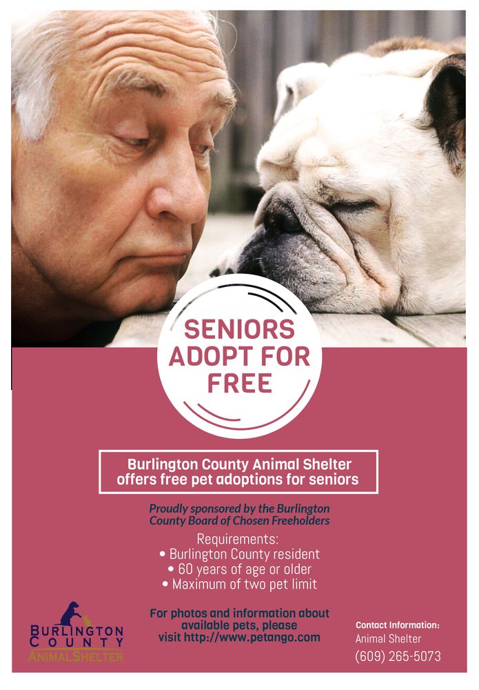 Burlington County Animal Shelter Image