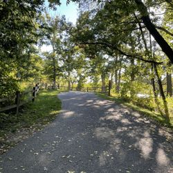 Lakewood Forest Preserve