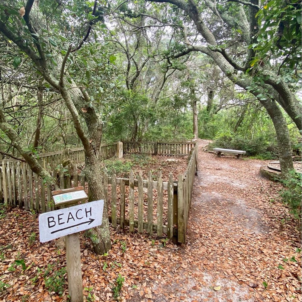 Springer's Point Preserve - On my way... - Hiking Near Me - Ocracoke, North Carolina Springer's Point Preserve - On my way... - Hiking Near Me - Ocracoke, North Carolina
