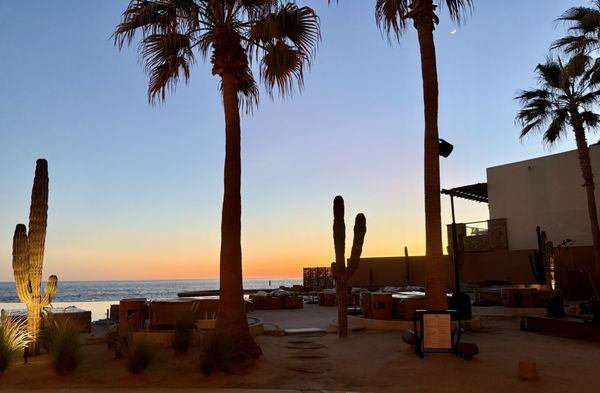 Don Manuel's by null