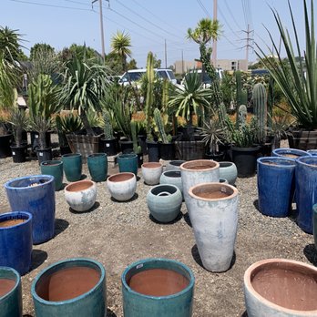 CALIFORNIA GREENHOUSES - Updated June 2026 - 73 Photos & 41 Reviews - 3350  1/2 Warner Ave, Irvine, California - Nurseries & Gardening - Phone Number -  Yelp