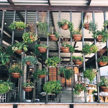 Milo - Outside - Breakfast & Brunch Near Me - Waco, Texas Milo - Outside - Breakfast & Brunch Near Me - Waco, Texas