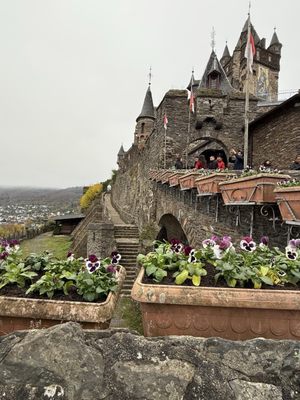 Cochem Castle by null