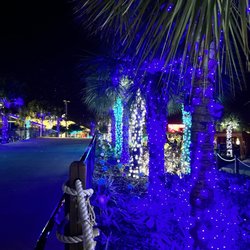 Night of a Million Lights