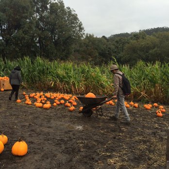 Repetto's Pumpkins - Pumpkin Patches Near Me - Half Moon Bay, California Repetto's Pumpkins - Pumpkin Patches Near Me - Half Moon Bay, California