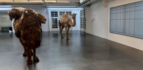 Ludwig Forum for International Art by null